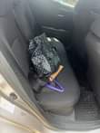 A picture of Toyota CHR