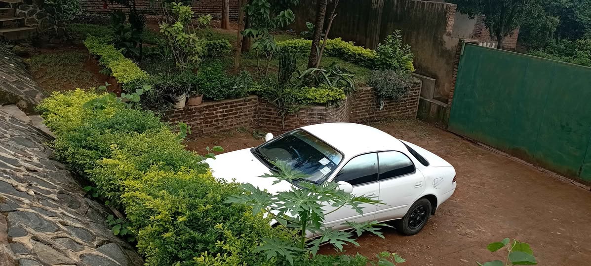 used toyota