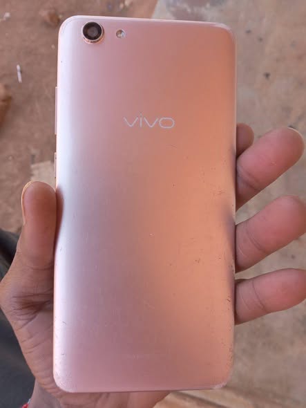 vivo