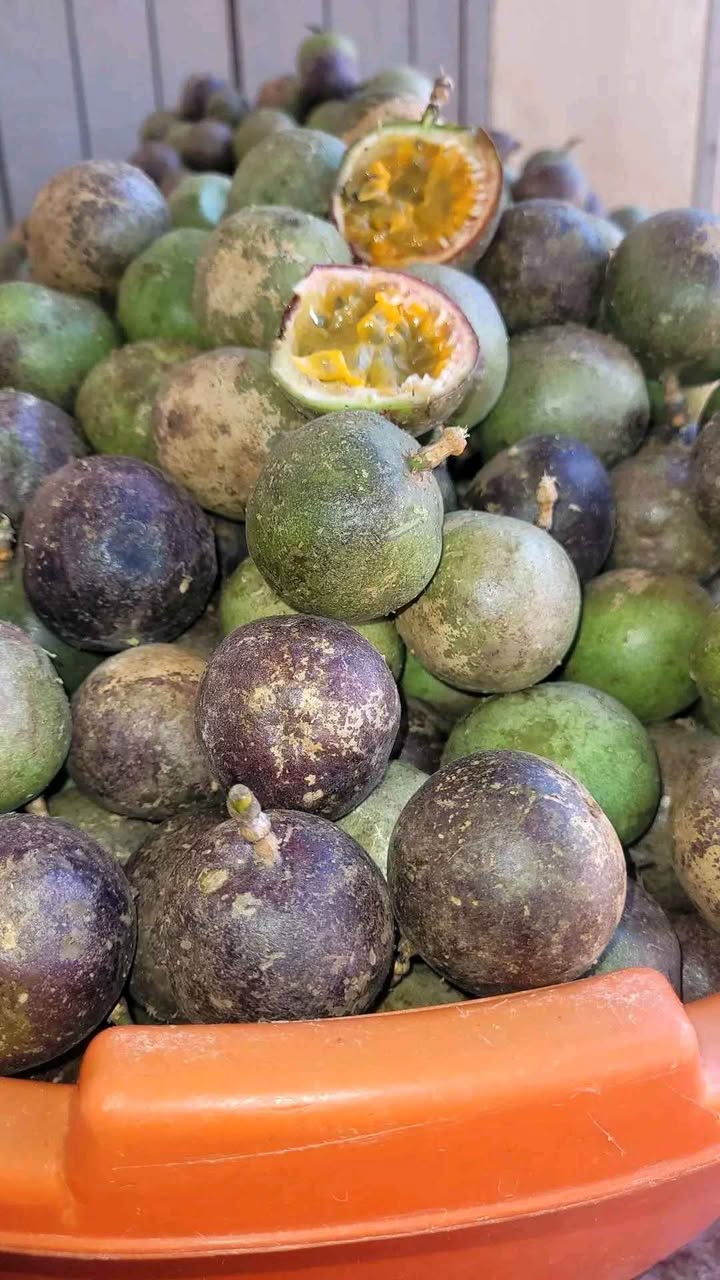 A picture of Passion Fruits