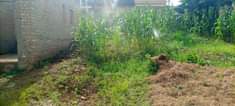 A picture of Call for grab 0705426280 25 45ft land with power and