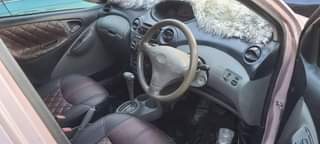 A picture of Vitz