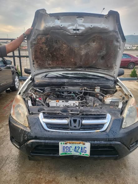 A picture of 08115347846