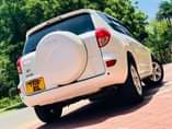 A picture of RAV4 MISS TZ