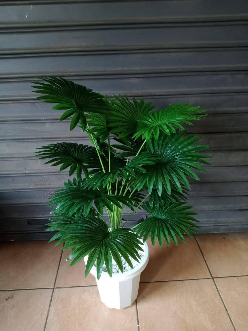 decor