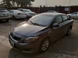 A picture of 2009 Toyota Corolla