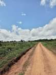 A picture of Mukono Namayiba estate