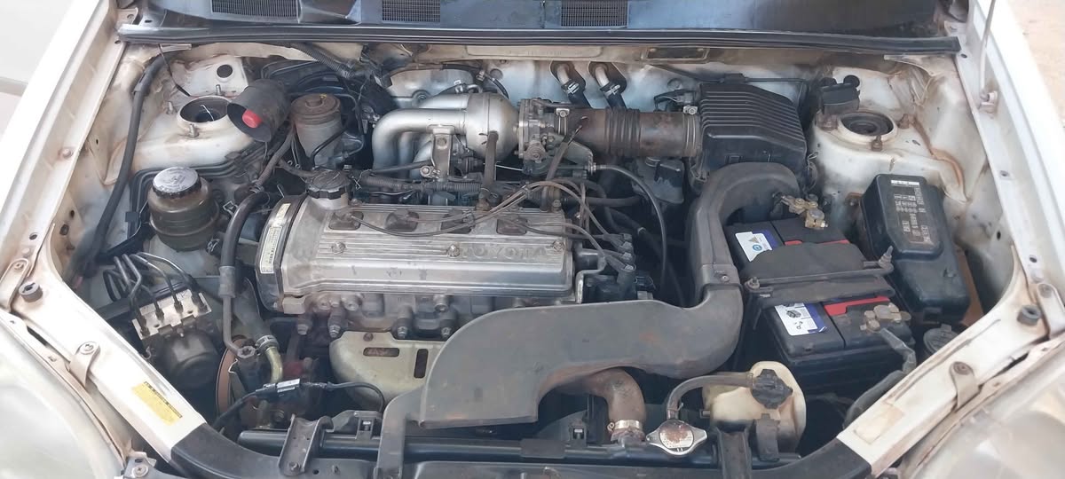used toyota raum