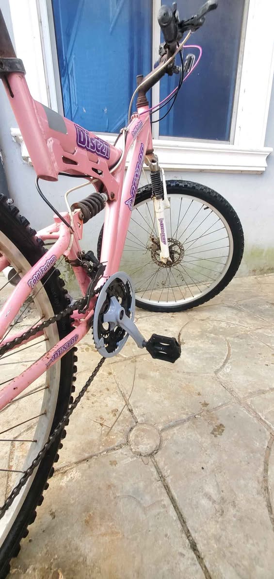 A picture of Double shock bicycle