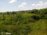 A picture of  200 Acres are available for sale in Kiboga Lwamagaali