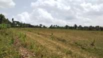 A picture of Plots for sale Namayumba Tarmac Viewing Estate