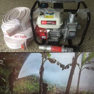 Farming T.