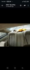 A picture of Toyota solara Tok standard first body engine and transmission and