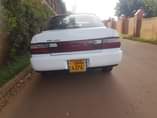 A picture of kikumi on sale 7 5million 0783138852 serious buyer only