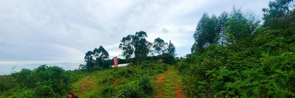 A picture of PRICE DROP KASANJE 50BY 100 TITLED plots at 7 500