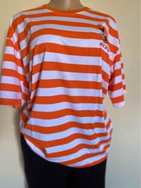 A picture of Free size T shirt
