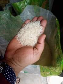 A picture of Rice