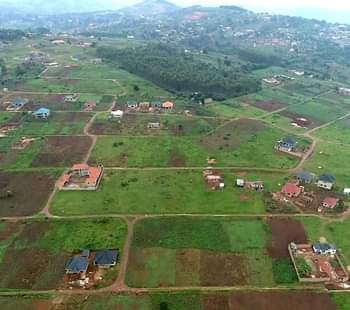 A picture of Plots and Acres of land foe sale