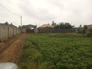 A picture of  40m Plot size 100by50ft with ready land title On