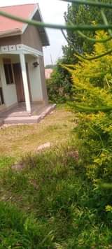 A picture of House