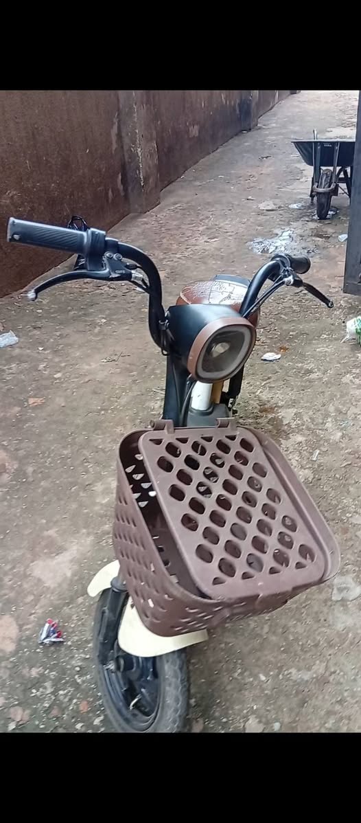 A picture of Electric Bike