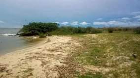 A picture of LAND