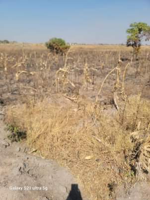 property zimre park