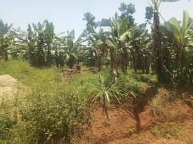 A picture of Land