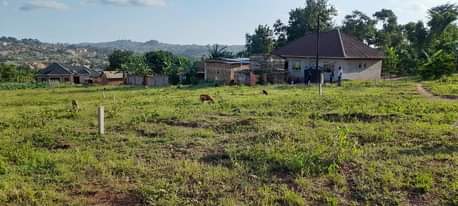 A picture of Cheap plots