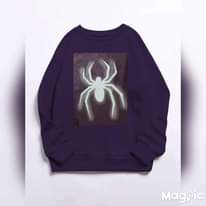 A picture of Shirt sweaters