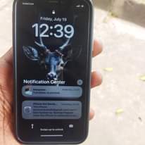 A picture of IPHONE X