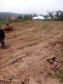 A picture of Hot cake plot in bujuuko mityana road plot size 30