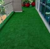 A picture of Grass Carpet