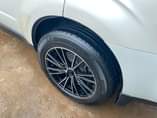 A picture of Forester