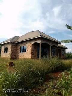 Ssentumbwe B.