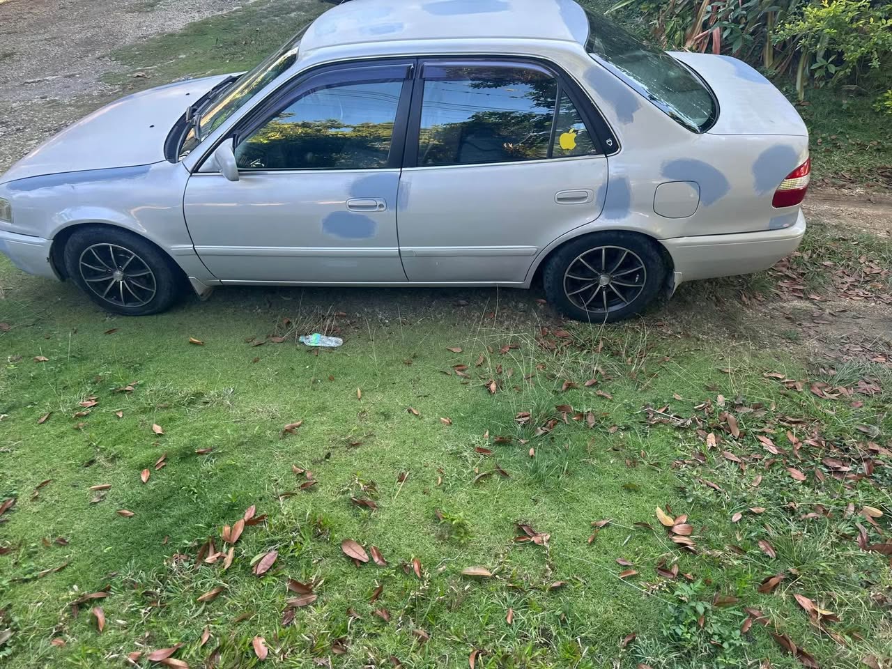 cars