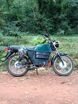Njoroge D.