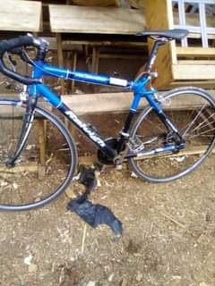 bicycle