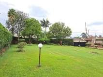 houses runda