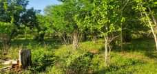 A picture of SHAMBA LA EKARI 20 LINAUZWA MBWEWE BAGAMOYO PWANI KWA MILIONI