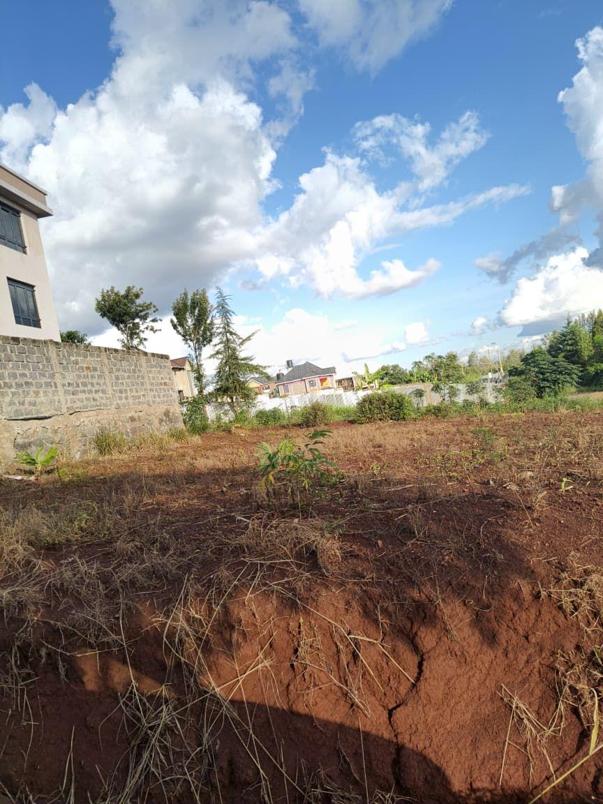 houses ruiru