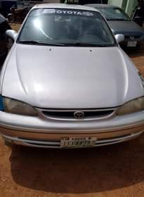 A picture of Corolla okerejowoelo