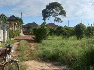 A picture of Quick sale50by100 at kavule 25m negotiable with title