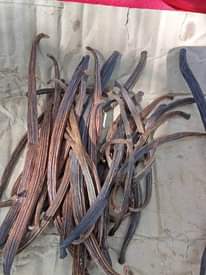 A picture of Vanilla pods