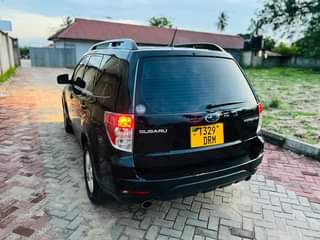 A picture of Subaru Forester