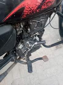 A picture of Boxer cc150