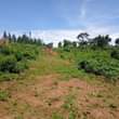 A picture of Residential plot on sale