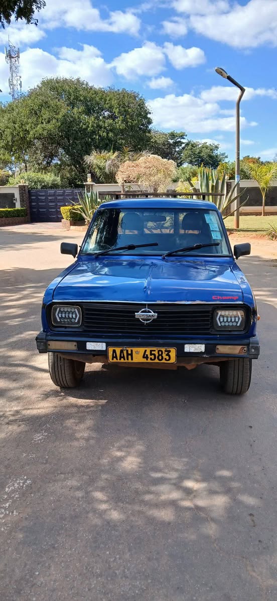 nissan champ