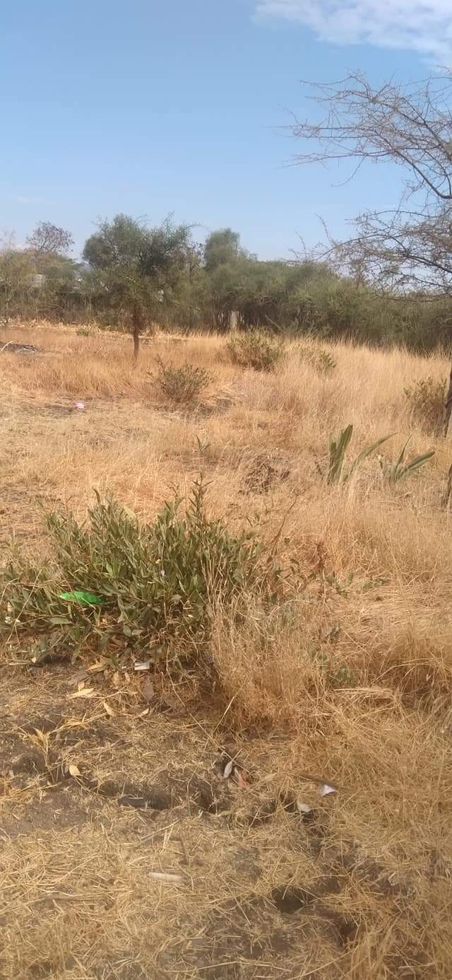 Lands &.