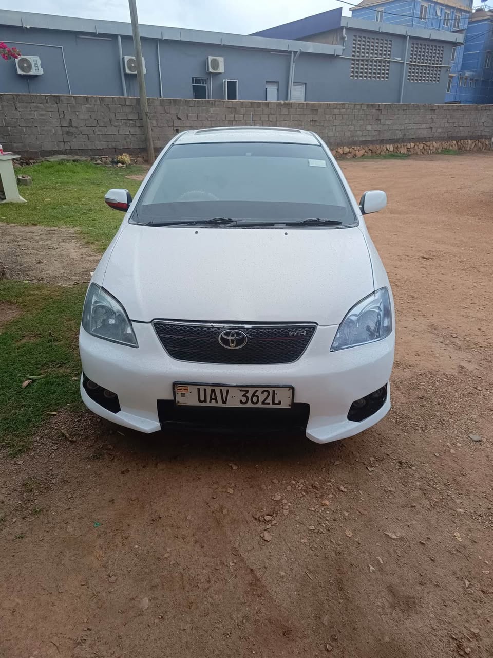 used toyota allex